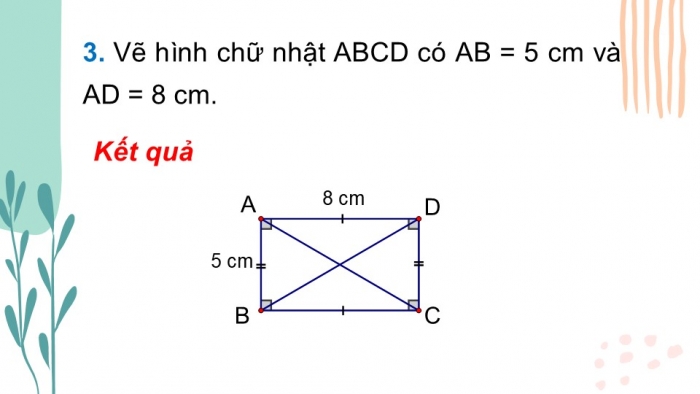 Giáo án PPT Toán 6 chân trời Bài 2: Hình chữ nhật – Hình thoi – Hình bình hành – Hình thang cân