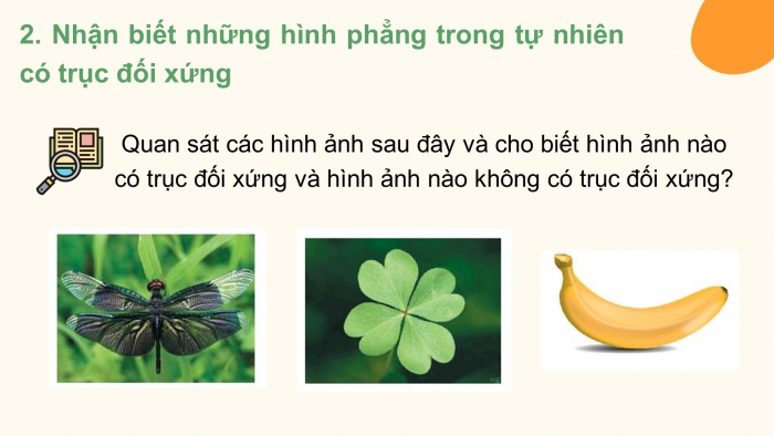 Giáo án PPT Toán 6 chân trời Bài 1: Hình có trục đối xứng