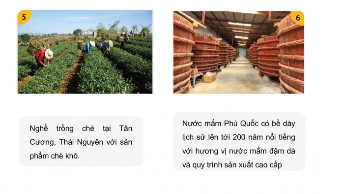 Giáo án PPT HĐTN 6 chân trời Chủ đề 7 Tuần 24