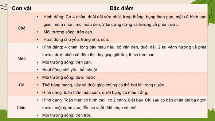 Giáo án PPT Mĩ thuật 2 cánh diều Bài 14: Con vật nuôi quen thuộc