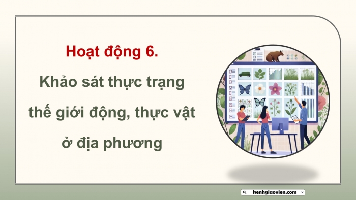 Giáo án điện tử Hoạt động trải nghiệm 12 cánh diều Chủ đề 6: Bảo vệ cảnh quan thiên nhiên và sự đa dạng sinh học (P3)