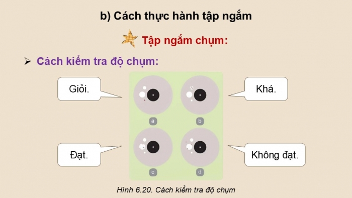 Giáo án điện tử Quốc phòng an ninh 12 kết nối Bài 6: Kĩ thuật bắn súng tiểu liên AK (P2)