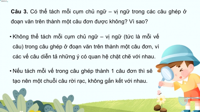 Giáo án điện tử Tiếng Việt 5 cánh diều Bài 11: Câu đơn và câu ghép