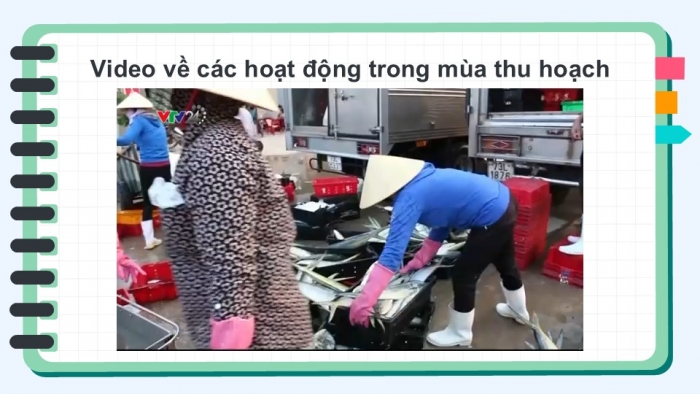 Giáo án điện tử Mĩ thuật 5 chân trời bản 1 Bài 1: Mùa thu hoạch