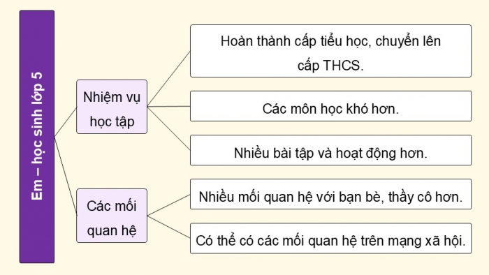 Giáo án điện tử Hoạt động trải nghiệm 5 chân trời bản 1 Chủ đề 6 Tuần 21