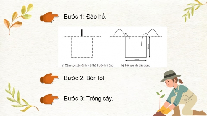 Giáo án điện tử Công nghệ 9 Trồng cây ăn quả Cánh diều Bài 10: Thực hành trồng và chăm sóc cây ăn quả