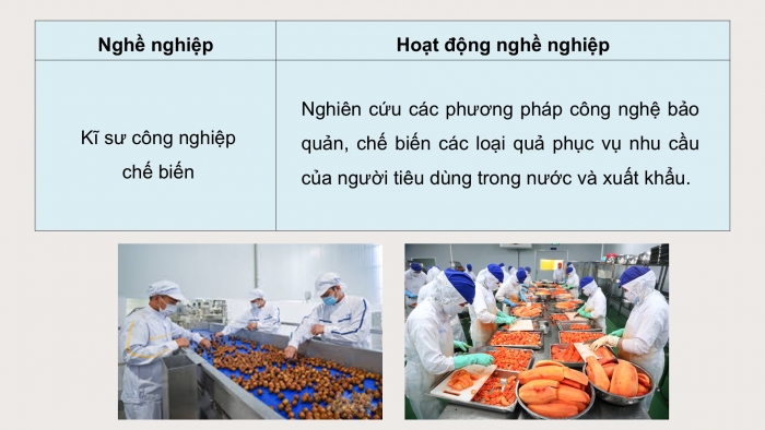 Giáo án điện tử Công nghệ 9 Trồng cây ăn quả Cánh diều Bài 12: Một số ngành nghề liên quan đến trồng cây ăn quả