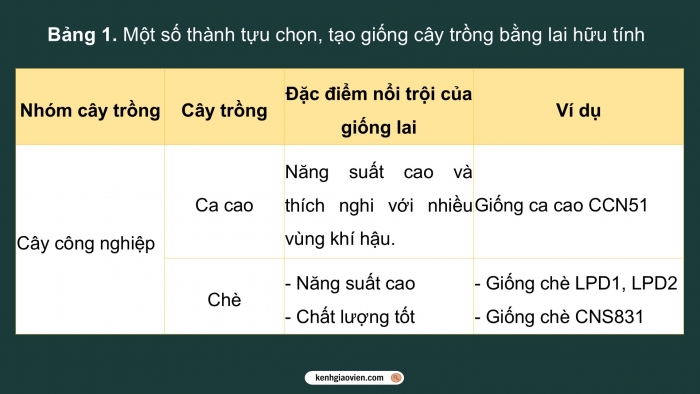 Giáo án điện tử Sinh học 12 cánh diều Bài 12: Thành tựu chọn, tạo giống bằng lai hữu tính