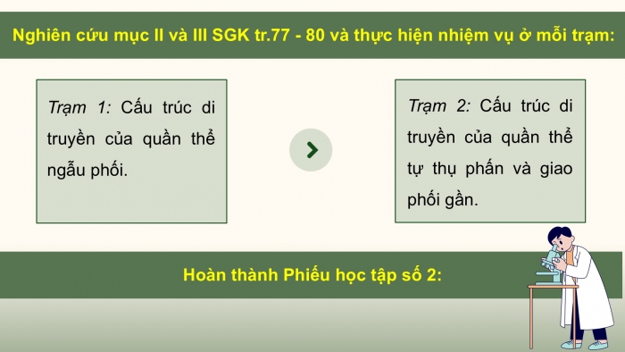 Giáo án điện tử Sinh học 12 cánh diều Bài 13: Di truyền học quần thể