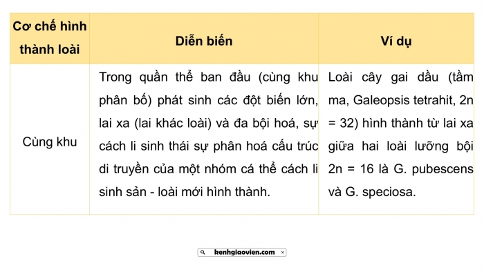 Giáo án điện tử Sinh học 12 cánh diều Bài 18: Thuyết tiến hoá tổng hợp hiện đại (Phần 2)