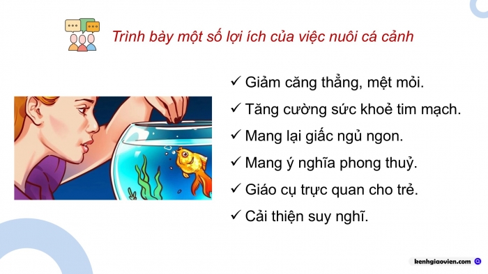 Giáo án điện tử chuyên đề Công nghệ 12 Lâm nghiệp Thuỷ sản Kết nối Bài 13: Dự án Nuôi cá cảnh