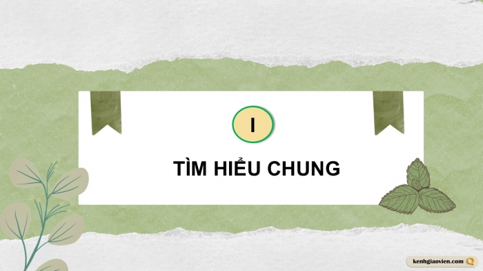 Giáo án điện tử Ngữ văn 9 kết nối Bài 9: Văn hóa hoa – cây cảnh (Trần Quốc Vượng)