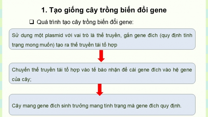 Giáo án điện tử KHTN 9 kết nối - Phân môn Sinh học Bài 48: Ứng dụng công nghệ di truyền vào đời sống