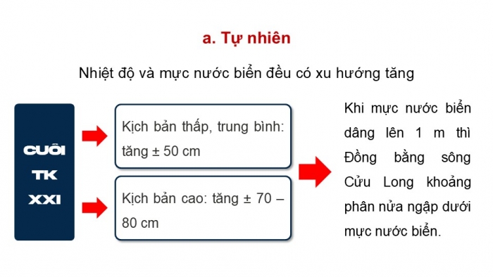 Giáo án điện tử Địa lí 9 kết nối Bài 21: Thực hành Tìm hiểu về tác động của biến đổi khí hậu đối với Đồng bằng sông Cửu Long