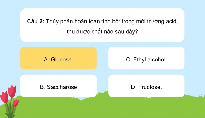 Giáo án điện tử KHTN 9 cánh diều - Phân môn Hoá học Bài tập (Chủ đề 9)