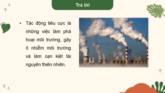 Giáo án điện tử Khoa học 5 kết nối Bài 30: Ôn tập chủ đề Sinh vật và môi trường