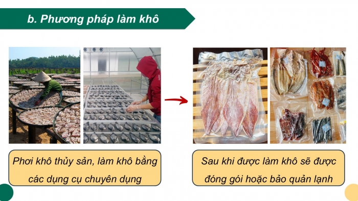 Giáo án điện tử Công nghệ 12 Lâm nghiệp - Thủy sản Kết nối Bài 22: Bảo quản và chế biến sản phẩm thủy sản