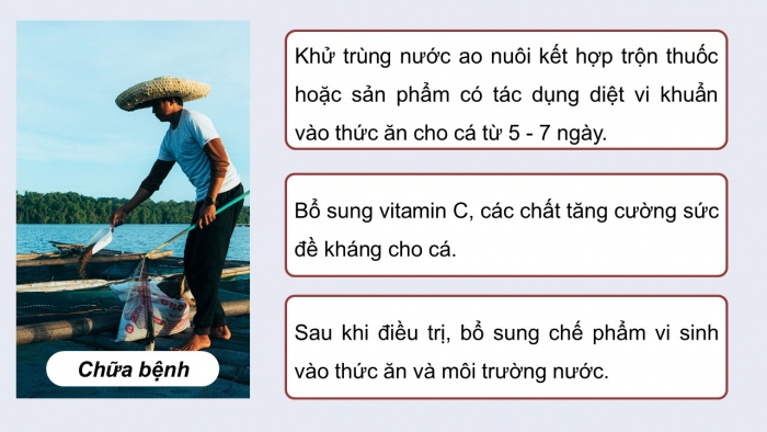 Giáo án điện tử Công nghệ 12 Lâm nghiệp - Thủy sản Kết nối Bài 24: Một số bệnh thủy sản phổ biến và biện pháp phòng, trị