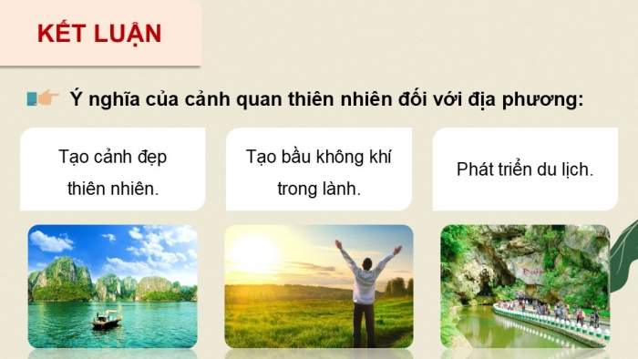 Giáo án điện tử Hoạt động trải nghiệm 12 chân trời bản 1 Chủ đề 9: Bảo vệ cảnh quan thiên nhiên, thế giới động vật và thực vật (P3)