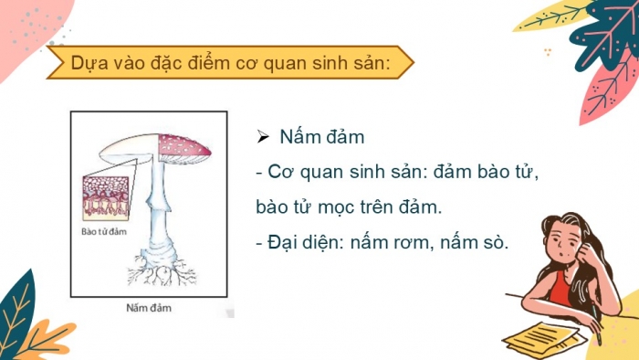 Giáo án PPT KHTN 6 chân trời Bài 28: Nấm