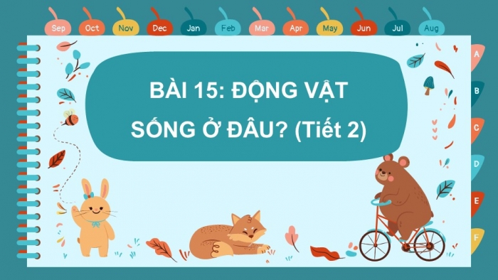 Giáo án PPT Tự nhiên và Xã hội 2 chân trời Bài 15: Động vật sống ở đâu?