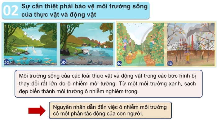 Giáo án PPT Tự nhiên và Xã hội 2 chân trời Bài 16: Bảo vệ môi trường sống của thực vật và động vật