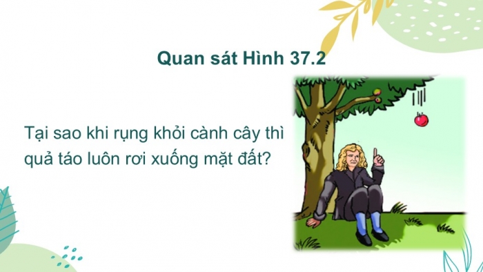 Giáo án PPT KHTN 6 chân trời Bài 37: Lực hấp dẫn và trọng lượng