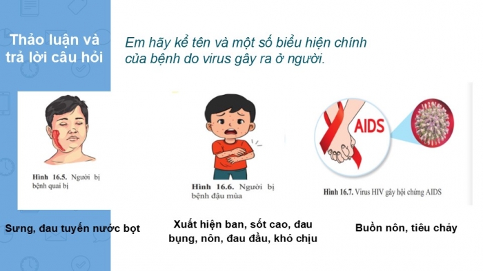 Giáo án PPT KHTN 6 cánh diều Bài 16: Virus và vi khuẩn