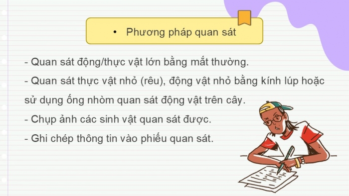 Giáo án PPT KHTN 6 cánh diều Bài 25: Tìm hiểu sinh vật ngoài thiên nhiên