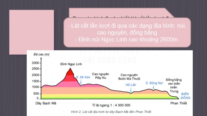 Giáo án PPT Địa lí 6 kết nối Bài 14 Thực hành: Đọc lược đồ địa hình tỉ lệ lớn và lát cắt địa hình đơn giản