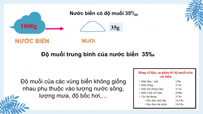 Giáo án PPT Địa lí 6 kết nối Bài 21: Biển và đại dương