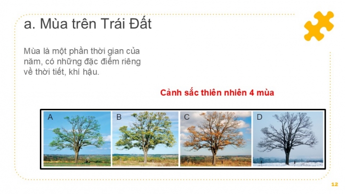 Giáo án PPT Địa lí 6 cánh diều Bài 7: Chuyển động của Trái Đất quanh Mặt Trời và các hệ quả địa lí