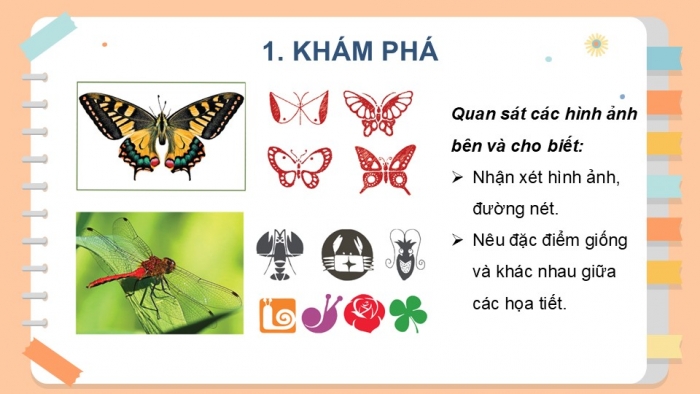 Giáo án PPT Mĩ thuật 6 cánh diều Bài 5: Sáng tạo hoạ tiết trang trí