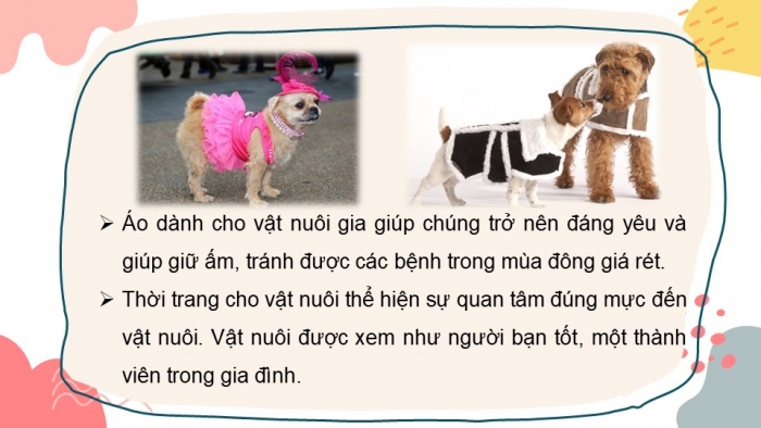 Giáo án PPT Mĩ thuật 6 cánh diều Bài 7: Thời trang cho vật nuôi