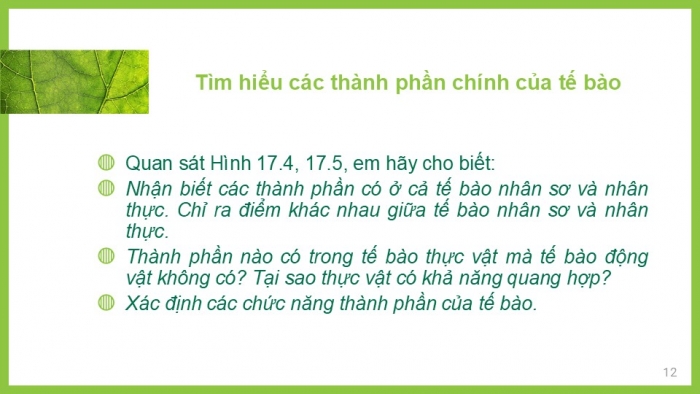 Giáo án PPT KHTN 6 chân trời Bài 17: Tế bào