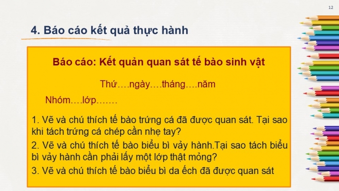 Giáo án PPT KHTN 6 chân trời Bài 18: Thực hành quan sát tế bào thực vật