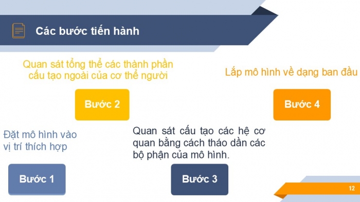 Giáo án PPT KHTN 6 chân trời Bài 21: Thực hành quan sát sinh vật