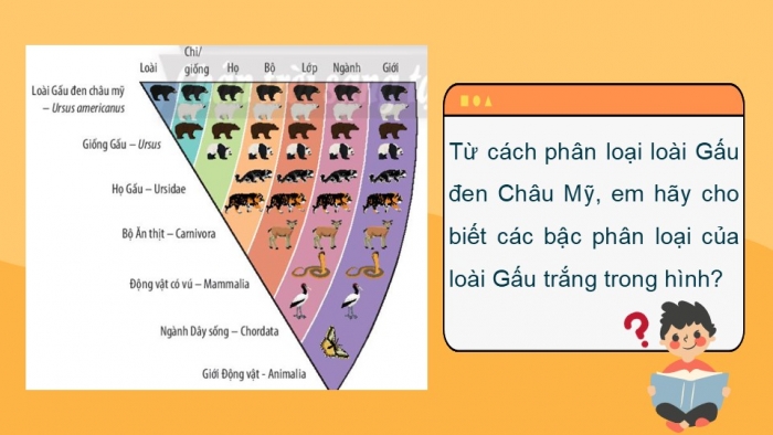 Giáo án PPT KHTN 6 chân trời Bài 22: Phân loại thế giới sống