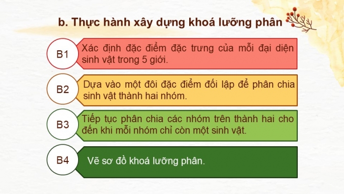 Giáo án PPT KHTN 6 chân trời Bài 23: Thực hành xây dựng khoá lưỡng phân