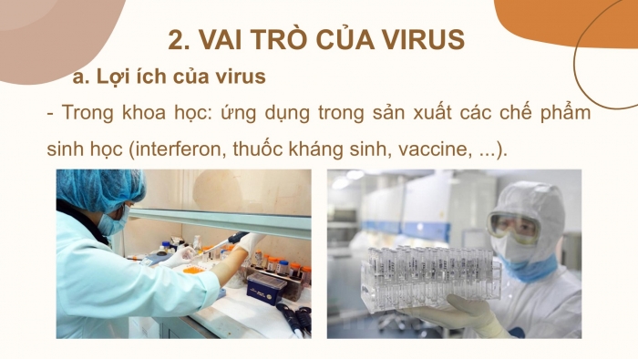 Giáo án PPT KHTN 6 chân trời Bài 24: Virus