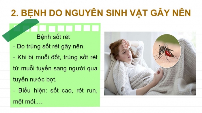 Giáo án PPT KHTN 6 chân trời Bài 27: Nguyên sinh vật