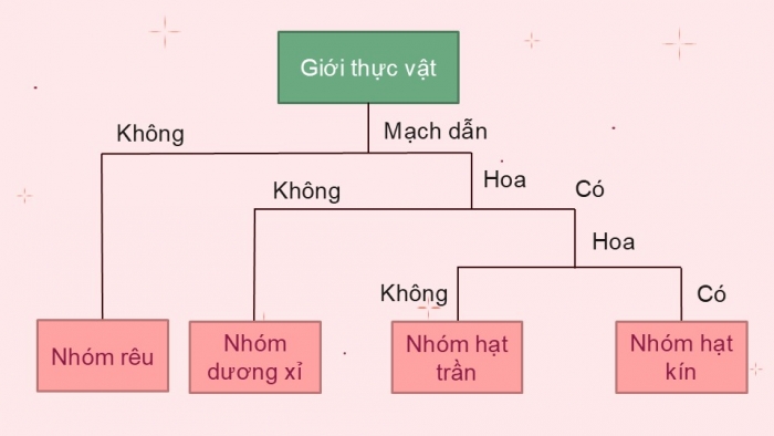 Giáo án PPT KHTN 6 chân trời Bài 29: Thực vật