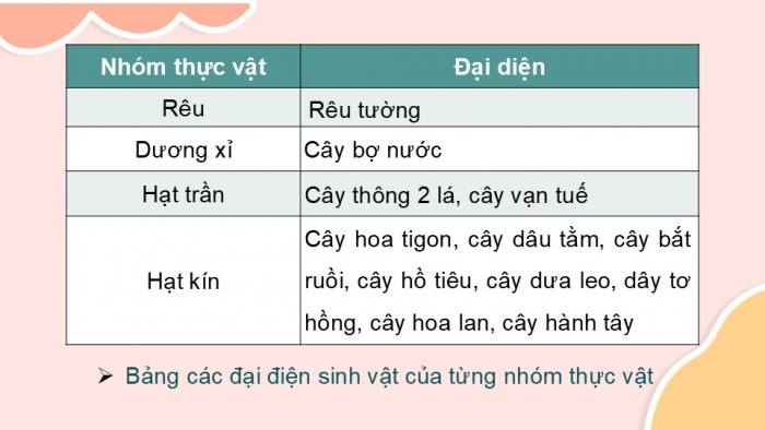 Giáo án PPT KHTN 6 chân trời Bài 30: Thực hành phân loại thực vật