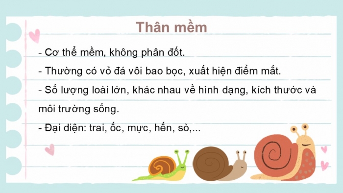 Giáo án PPT KHTN 6 chân trời Bài 31: Động vật