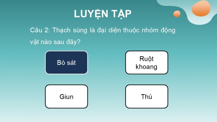 Giáo án PPT KHTN 6 chân trời Bài 32: Thực hành quan sát và phân loại động vật ngoài thiên nhiên