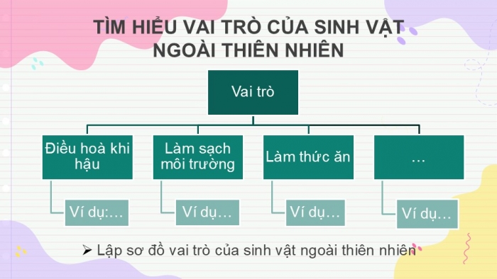 Giáo án PPT KHTN 6 chân trời Bài 34: Tìm hiểu sinh vật ngoài thiên nhiên