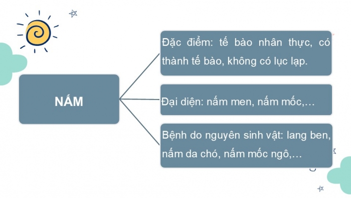 Giáo án PPT KHTN 6 chân trời Ôn tập Chủ đề 8