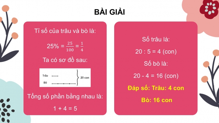 Giáo án điện tử Toán 5 chân trời Bài 59: Em làm được những gì?