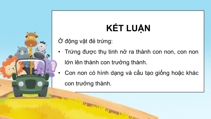 Giáo án điện tử Khoa học 5 cánh diều Bài 11: Vòng đời của động vật đẻ trứng và động vật đẻ con