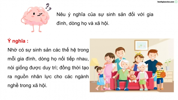 Giáo án điện tử Khoa học 5 cánh diều Bài 15: Sự sinh sản ở người